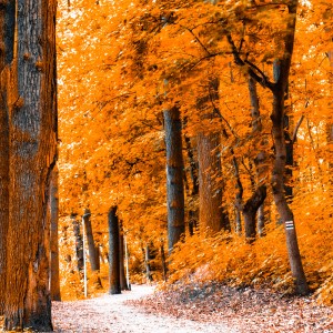 Krzysztof Jaworski-4